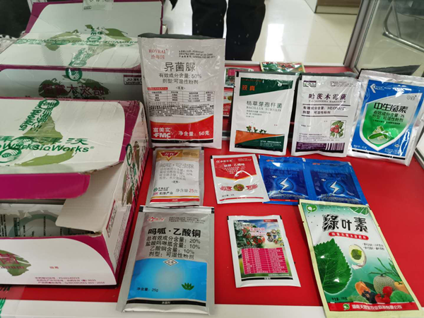 图片11.png