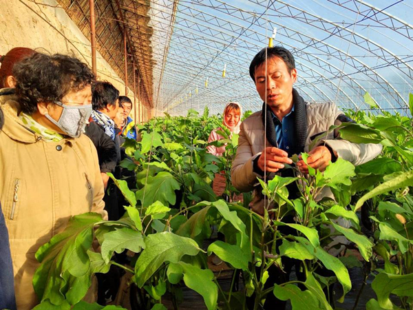 “双带”标兵正在讲解农业技术_副本.jpg