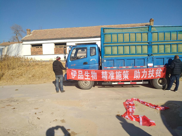 图片3_副本.png