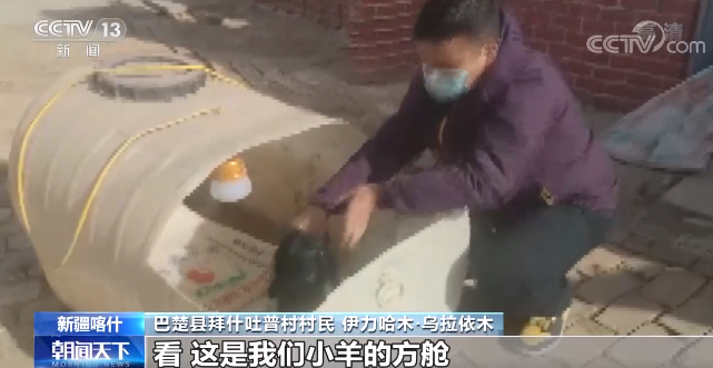 废塑料桶给刚出生的小羊羔做“保暖方舱”